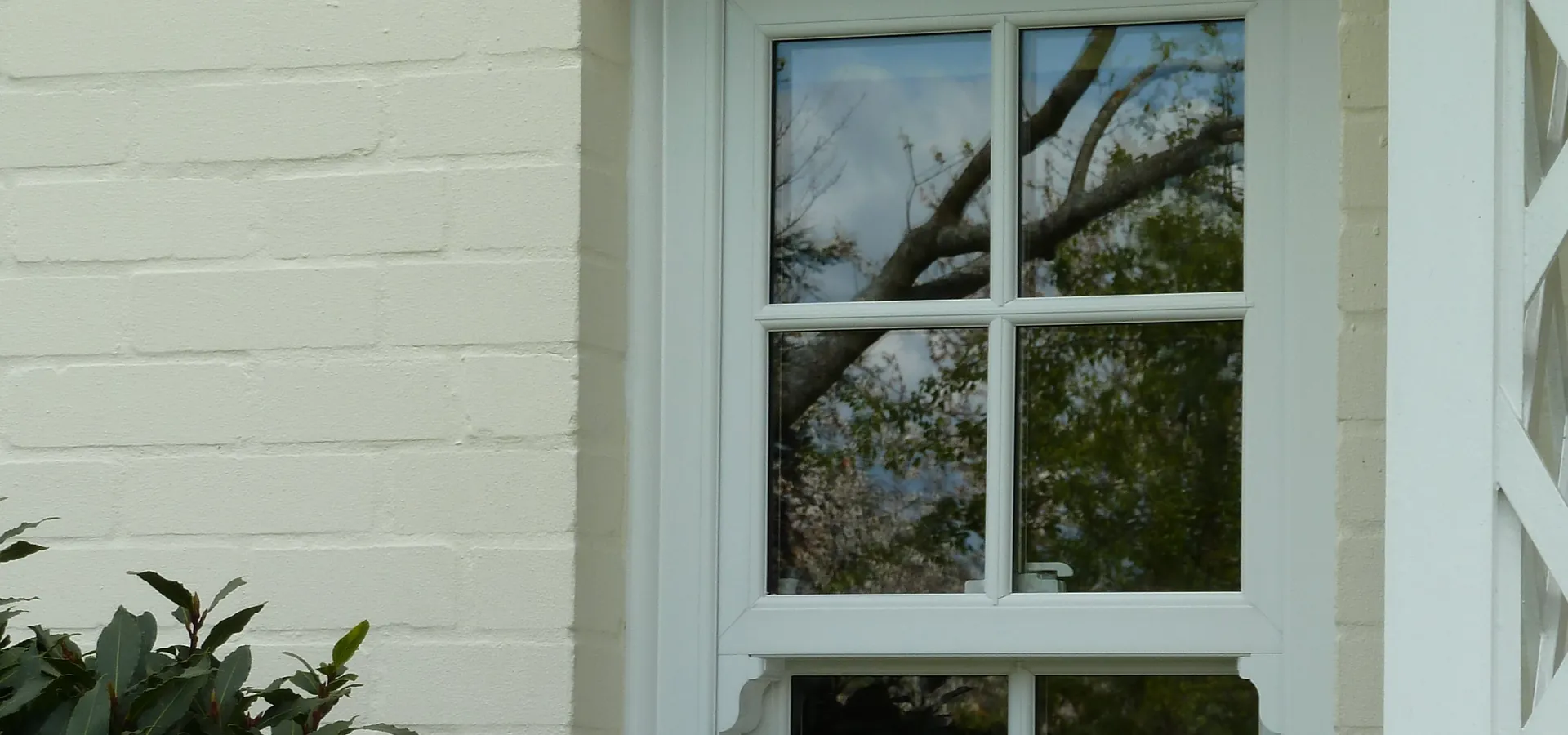 Sash Windows Forest Hill